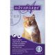 Image for Advantage Feline